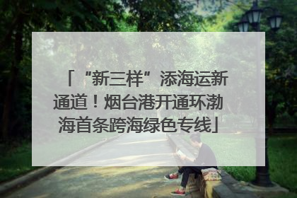 “新三样”添海运新通道！烟台港开通环渤海首条跨海绿色专线