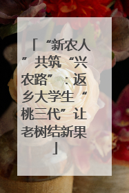 “新农人”共筑“兴农路”：返乡大学生“桃三代”让老树结新果