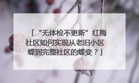 “无体检不更新”红梅社区如何实现从老旧小区蝶到完整社区的蝶变？