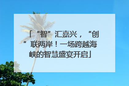 “智”汇嘉兴，“创”联两岸！一场跨越海峡的智慧盛宴开启