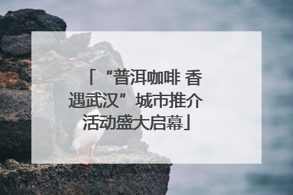 “普洱咖啡 香遇武汉”城市推介活动盛大启幕