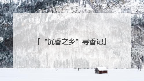 “沉香之乡”寻香记