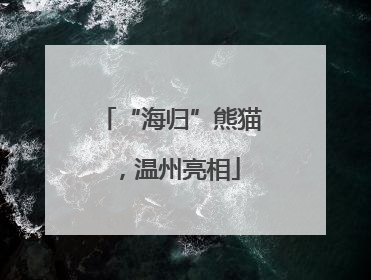 “海归”熊猫，温州亮相