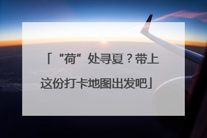 “荷”处寻夏？带上这份打卡地图出发吧