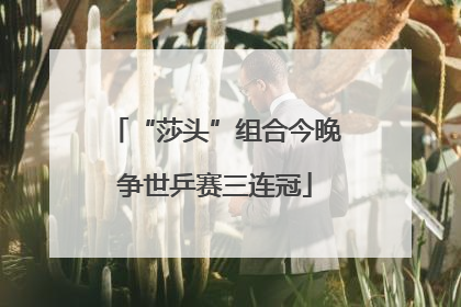 “莎头”组合今晚争世乒赛三连冠