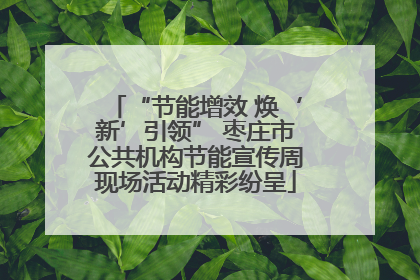 “节能增效 焕‘新’引领” 枣庄市公共机构节能宣传周现场活动精彩纷呈