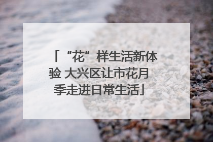 “花”样生活新体验 大兴区让市花月季走进日常生活