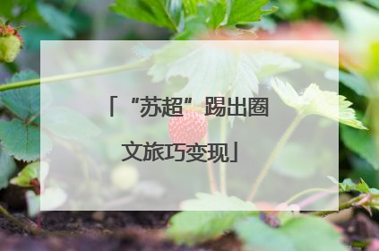 “苏超”踢出圈 文旅巧变现