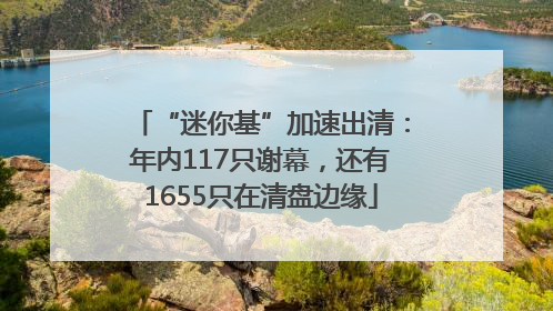 “迷你基”加速出清：年内117只谢幕，还有1655只在清盘边缘