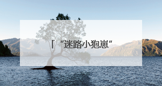 “迷路小狍崽”落单蜷缩草丛中，民警暖心救助
