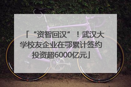 “资智回汉”！武汉大学校友企业在鄂累计签约投资超6000亿元