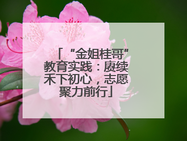 “金姐桂哥”教育实践：赓续禾下初心，志愿聚力前行