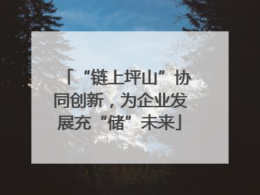 “链上坪山”协同创新，为企业发展充“储”未来