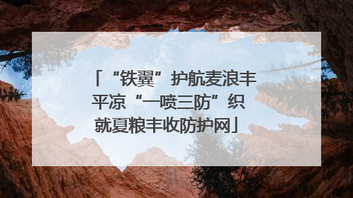 “铁翼”护航麦浪丰 平凉“一喷三防”织就夏粮丰收防护网