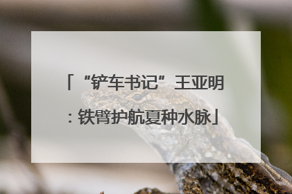 “铲车书记”王亚明：铁臂护航夏种水脉
