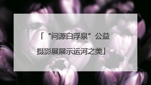 “问源白浮泉”公益摄影展展示运河之美