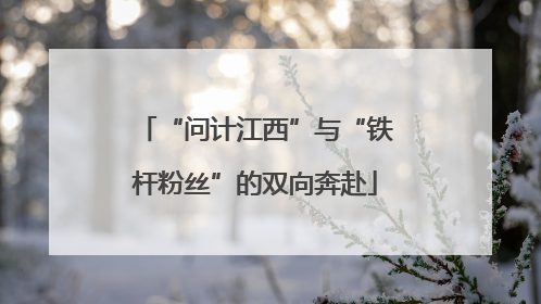 “问计江西”与“铁杆粉丝”的双向奔赴