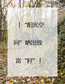 “阳光空间”晒出致富“籽”