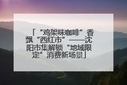 “鸡架味咖啡”香飘“西红市”——沈阳市集解锁“地域限定”消费新场景