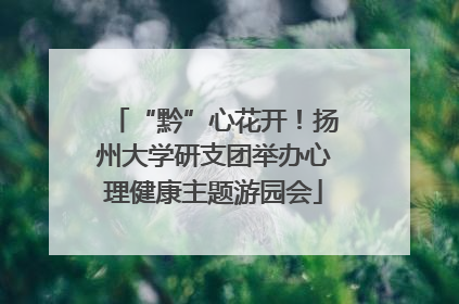 “黔”心花开！扬州大学研支团举办心理健康主题游园会