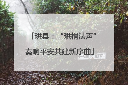 珙县：“珙桐法声”奏响平安共建新序曲