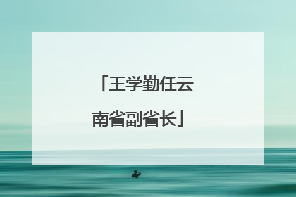 王学勤任云南省副省长