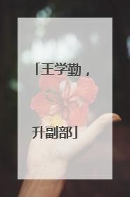 王学勤，升副部