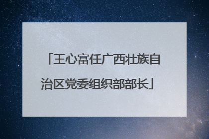 王心富任广西壮族自治区党委组织部部长