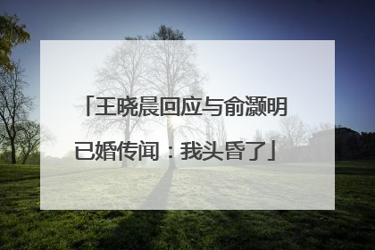 王晓晨回应与俞灏明已婚传闻：我头昏了