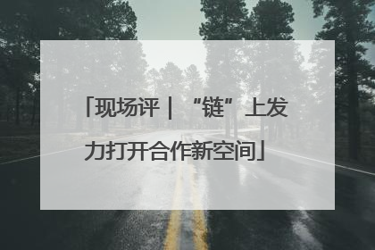 现场评｜“链”上发力打开合作新空间