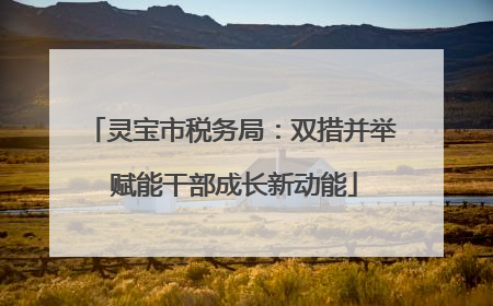 灵宝市税务局：双措并举 赋能干部成长新动能