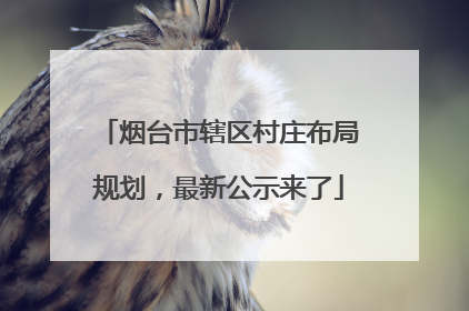 烟台市辖区村庄布局规划，最新公示来了