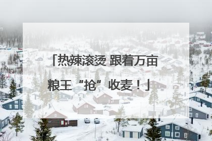 热辣滚烫 跟着万亩粮王“抢”收麦！