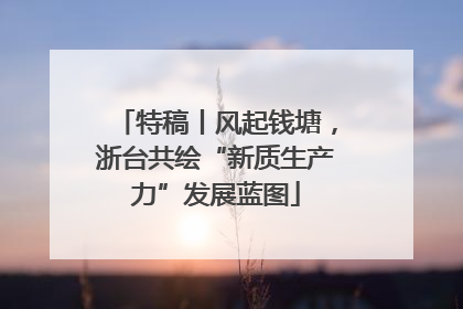 特稿丨风起钱塘，浙台共绘“新质生产力”发展蓝图