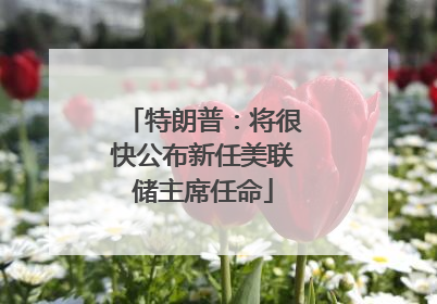 特朗普：将很快公布新任美联储主席任命