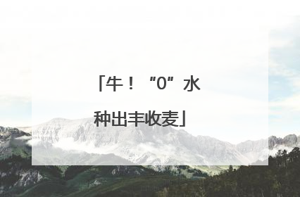 牛！“0”水种出丰收麦