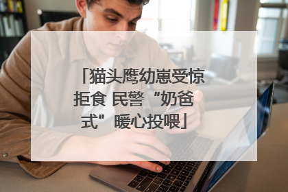 猫头鹰幼崽受惊拒食 民警“奶爸式”暖心投喂