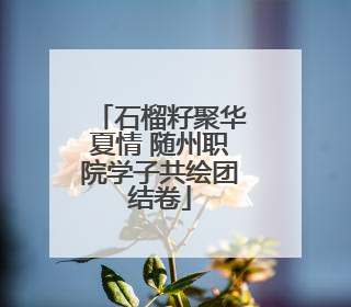 石榴籽聚华夏情 随州职院学子共绘团结卷