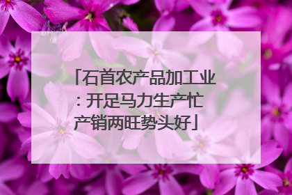 石首农产品加工业：开足马力生产忙 产销两旺势头好