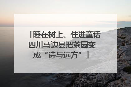 睡在树上、住进童话 四川马边县把茶园变成“诗与远方”