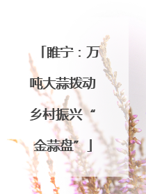 睢宁：万吨大蒜拨动乡村振兴“金蒜盘”