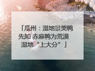 瓜州：湿地景美鸭先知 赤麻鸭为荒漠湿地“上大分”