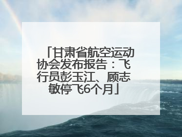 甘肃省航空运动协会发布报告：飞行员彭玉江、顾志敏停飞6个月