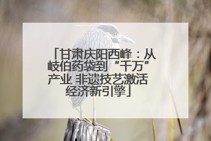 甘肃庆阳西峰：从岐伯药袋到“千万”产业 非遗技艺激活经济新引擎