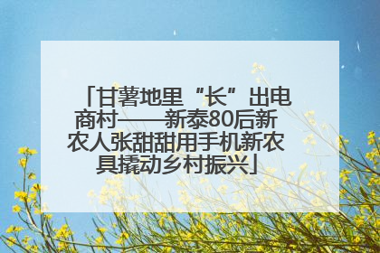 甘薯地里“长”出电商村——新泰80后新农人张甜甜用手机新农具撬动乡村振兴