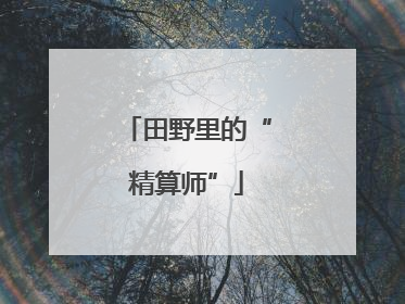 田野里的“精算师”