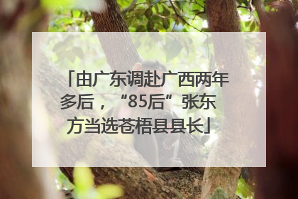由广东调赴广西两年多后，“85后”张东方当选苍梧县县长