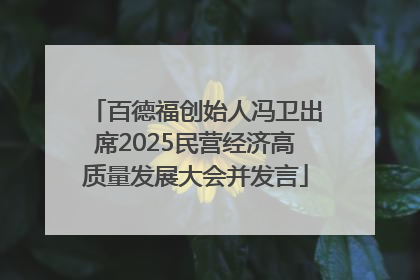 百德福创始人冯卫出席2025民营经济高质量发展大会并发言