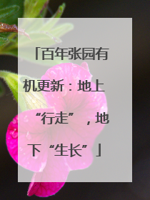 百年张园有机更新：地上“行走”，地下“生长”