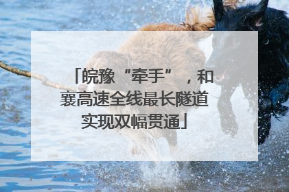 皖豫“牵手”，和襄高速全线最长隧道实现双幅贯通